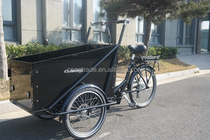 UB9036E-triciclo eléctrico para adulto, con ruedas, 36V, 9Ah - Product Image 3