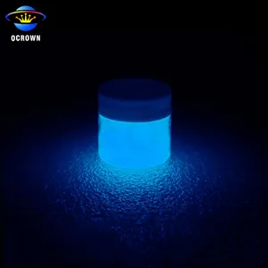 Colorful Glow Pigment Nail Polish Paint Powder Glow in Dark Pigment for Paint