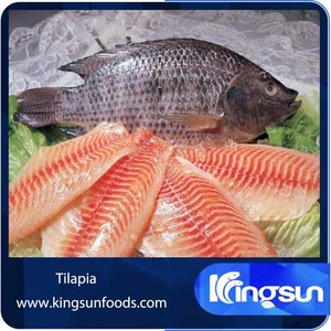 Filete de tilapia congelado de alta calidad - Product Image 3