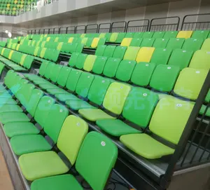 屋内のためのスタジアムのグランドスタンドを座っているプロの公共折りたたみジム観葉植物