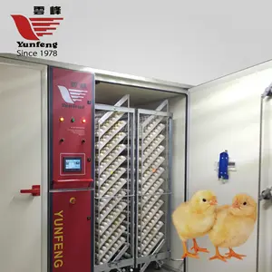 YFDF-384 عالية الجودة مرحلة واحدة 38400 البيض الصين الصناعية حاضنة بيض تجاريّة للبيع