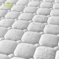 Colle en mousse éponge de coco mince multifonctionnelle pour matelas à mémoire de gel viscoélastique en latex naturel