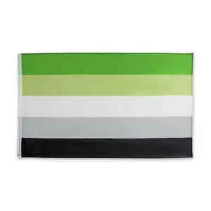 थोक स्टॉक 3x5 Fts हरे हरे सफेद, भूरे काले स्ट्रिप्स आउटडोर सजावट LGBT समलैंगिक Aromantic गौरव झंडा बैनर