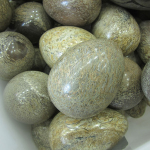 Œuf de cristal naturel poli en forme de <span class=keywords><strong>dinosaure</strong></span> <span class=keywords><strong>fossile</strong></span> pour la guérison, idéal pour un cadeau (vente en gros) - Product Image 5