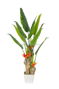 Banana <span class=keywords><strong>bonsai</strong></span> árbol artificial falso árbol de hoja <span class=keywords><strong>perenne</strong></span> plantas ornamentales - Product Image 6