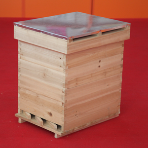 Nouvelle ruche en bois de sapin de Chine Zorue avec fond en plastique et ceinture pour apiculteurs - Product Image 4