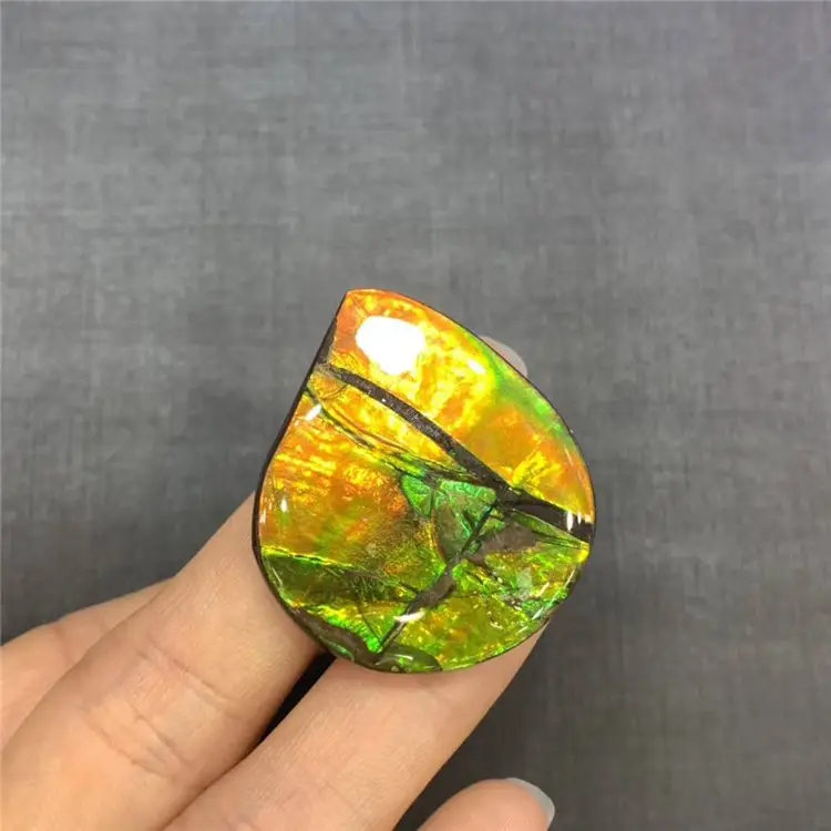 다채로운 보석 만들기 공장 가격 35x30mm 캐나다 수입 천연 Ammolite 큰 느슨한 돌