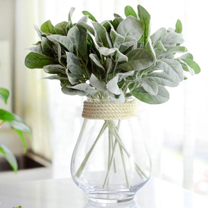 <span class=keywords><strong>Senecio</strong></span> Cineraria,มิลเลอร์พันธุ์ไม้เทียมขายส่งปี FC7512 - Product Image 2