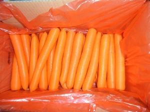 Carottes jaunes chinoises, vente en gros, 1 pièce - Product Image 4