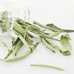secche foglie di tè stevia Suppliers-Taglio Foglia di STEVIA Secchi Allentato foglie di Tè, Stevia rebaudiana Tian Ye Ju