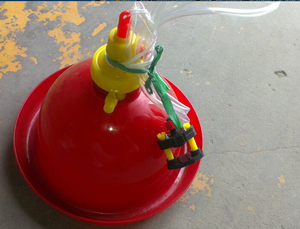 Bâtonnets automatiques pour élevage de volaille, de haute qualité, ml, abreuvoir à sonnette en plastique et poulet - Product Image 3