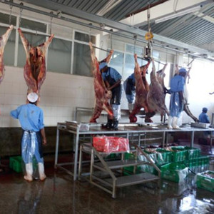 Équipement <span class=keywords><strong>de</strong></span> <span class=keywords><strong>boucherie</strong></span> d'ânes en promotion pour abattoir <span class=keywords><strong>de</strong></span> viande - Product Image 5