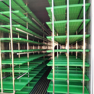 Hydroponic Seeds Germinate <strong>Machine</strong>/<strong>green</strong> <strong>Fodder</strong> Making Barley Breeding Room - Product Image 2