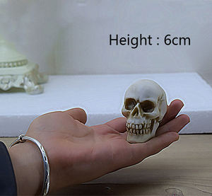 パーティー用の小さな人間の樹脂スカルヘッドモデル - Product Image 4