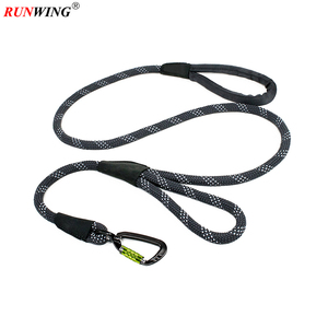 Correa de Nailon Inspirada en el Escalismo para Perros de Razas Medianas/Grandes, Doble Asa de Control, Costuras Reflectantes, Cintas Personalizadas - Product Image 1