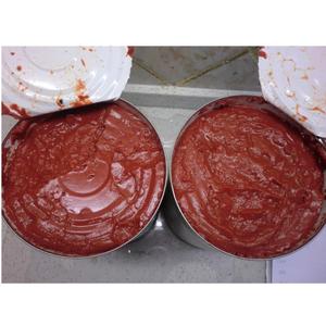 Bột Cà Chua Đóng Hộp Trung Quốc 28-30% Với Cà Chua Tươi - Product Image 2