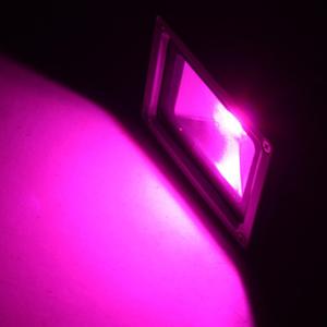 Grow LED Full Spectrum LED Grow Light 10 w Plant Growth LED de visualización 554nm azul 660nm rojo AC85-265V - Product Image 6