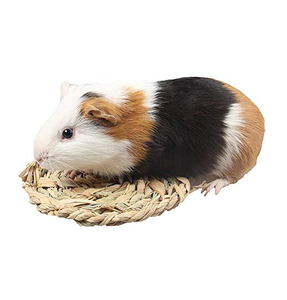 Lit rond en herbe tissé à la main pour petits animaux de compagnie jouet à mâcher naturel pour hamster chinchilla furet - Product Image 4