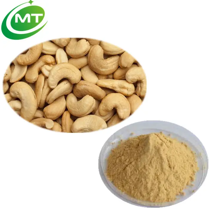 China memproduksi harga terbaik ekstrak kacang shell Mete gizi