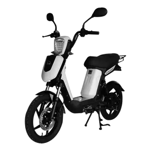 2019 Terbaru 12ah 18ah 20ah Baterai Lithium Asam Timbal 250W 350W 450W Pedal Motor Bantuan Eec Sepeda Skuter Bagikan Listrik