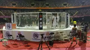 Competencia Profesional MMA Octagon jaula