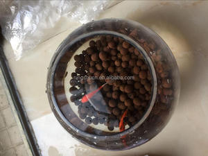 Argile expansée hydroponique pour système aquaponique, aquariums et réservoirs de poissons - Product Image 5