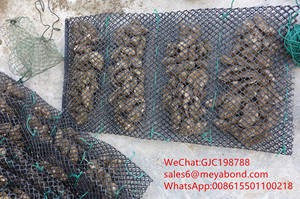 Túi Nuôi Hàu - Product Image 4
