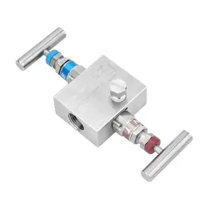 Bán Chạy Nhất 1/2 Inch NPT Swagelok Phong Cách Van 2 Chiều