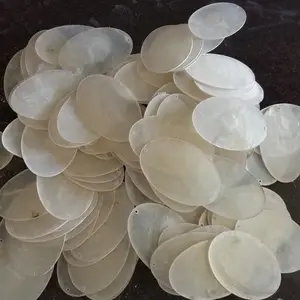 Capiz shell philippines for Free sample Factory Wholesales