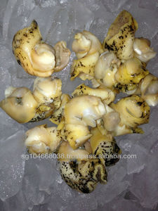 แช่แข็งปรุงสุกหอย - Product Image 3