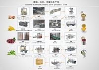 Lwt Auto Groente Ingeblikte Bonen Productielijn China 'S Beroemde Fabrikant Fruit Snoep Machine Mixer Deegmixer Sleutelmachines