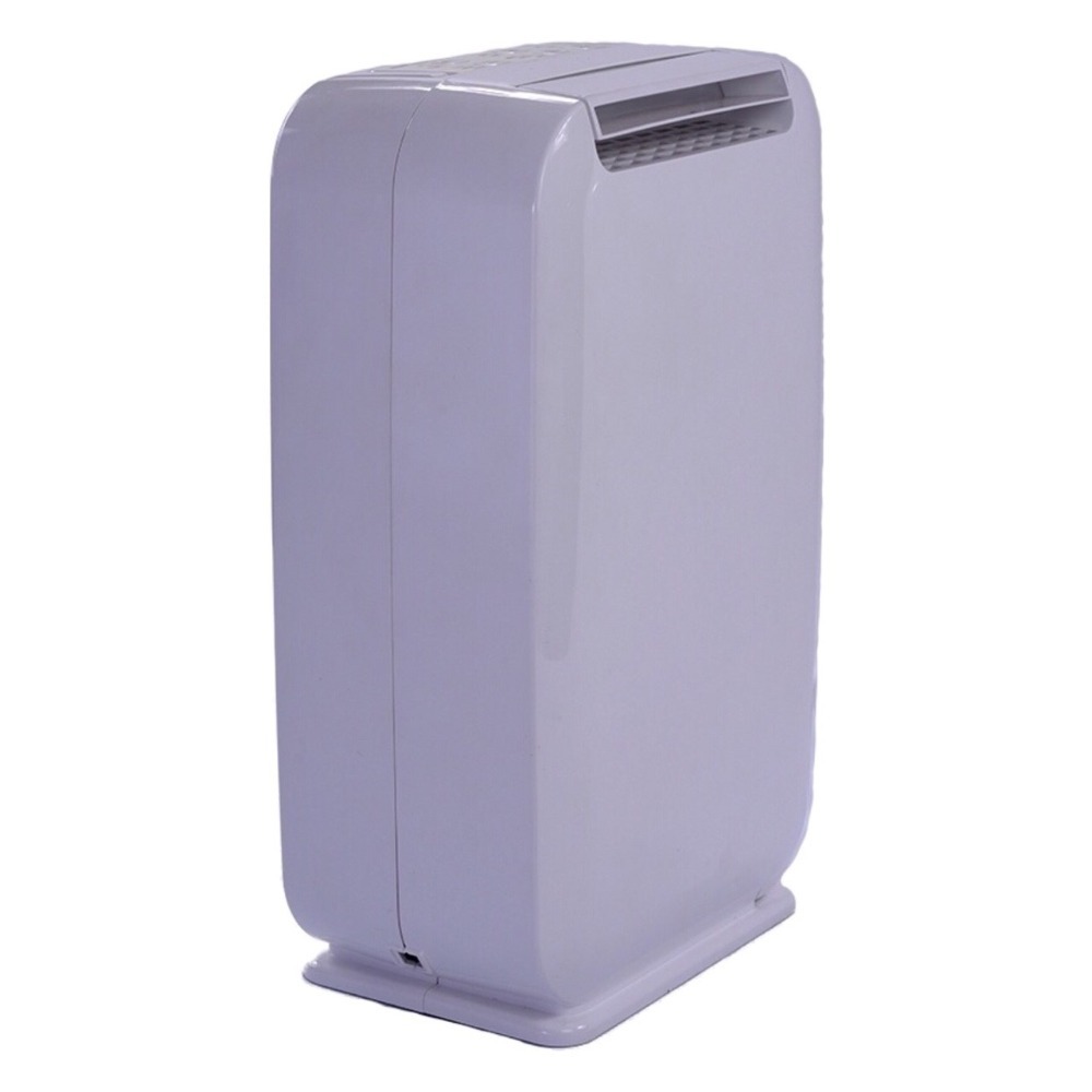 OEM 6L Powerful Air Dehumidifier With Low Consumption