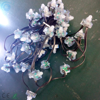 5v 50pcs/string Programmable 5v Ws2801 LED Pixels RGB programmables