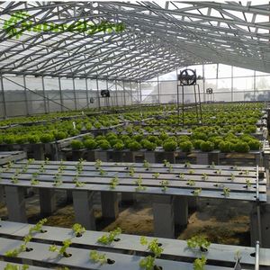 Dernière Conception 8X4 <span class=keywords><strong>Hydroponique</strong></span> Pousser des Herbes Aromatiques - Product Image 4