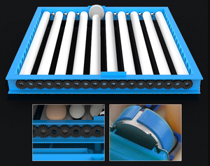 <span class=keywords><strong>Mini</strong></span> Incubadora de Huevos de Gallina de 64 Huevos, Diseño Nuevo 2021, Color Azul - Product Image 5