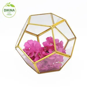 A terrarium is intended to be something like a mini-ecosystem / Alibaba gold supplier wholesale glass terrarium garden