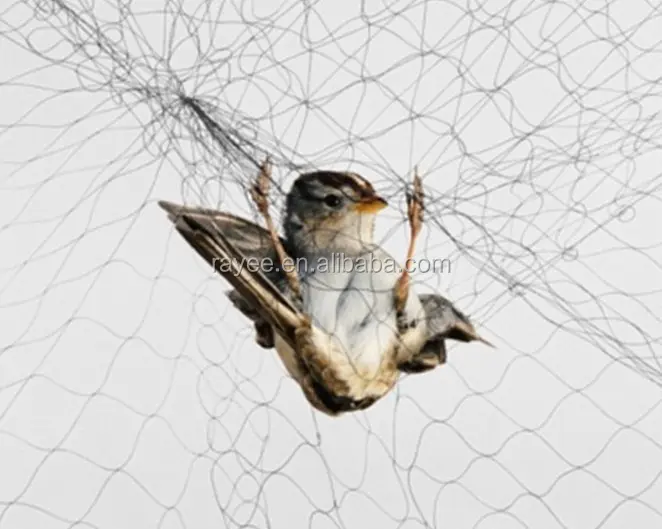Rede de caça de pássaros/rede de náilon com furos pequenos 15x15mm 0.12mm * 18*18mm, 2m x 15m para qualidade saudita, redes de morcego coletor de pássaro