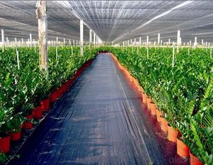 Tapis anti-mauvaises herbes de haute qualité pour l'agriculture, fabriqué en Chine, 1x100m, 2x100m, 4x6m, couverture de <span class=keywords><strong>sol</strong></span> GEO - Product Image 3