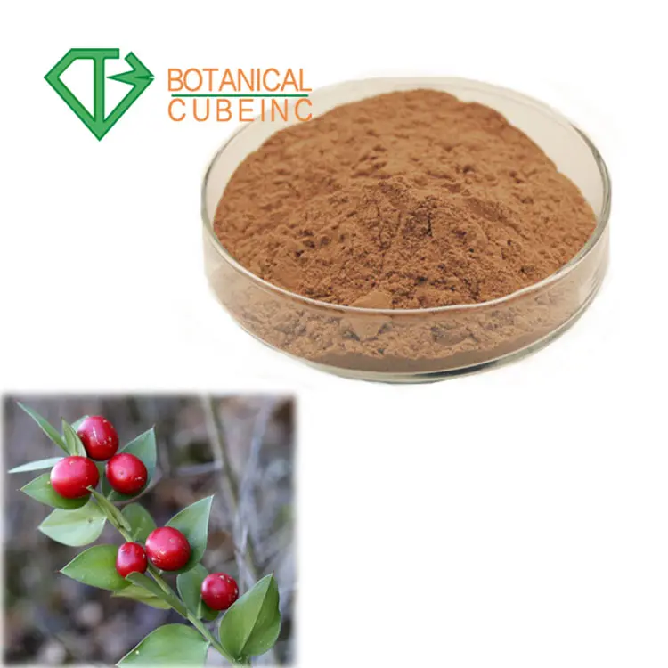 고품질 ruscus aculeatus 뿌리 추출물/정육점 빗자루 추출물 최고의 가격 초본 정육점 빗자루 추출물 Ruscogenin