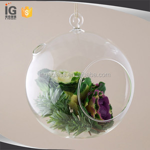 Clear Glass Hanging 4.5 Inch <strong>Round</strong> Ball Air Plant Terrarium <strong>Globe</strong> - Product Image 3