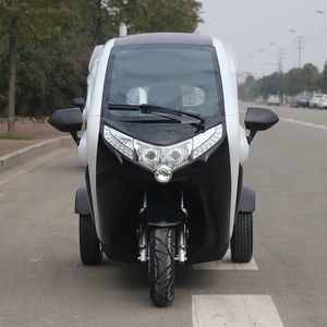 Tricycle électrique fermé <span class=keywords><strong>pour</strong></span> personnes handicapés, jouet <span class=keywords><strong>pour</strong></span> adultes, pas cher, <span class=keywords><strong>prix</strong></span> d'usine, tricycle cargo, activités de plein air, kg - Product Image 5