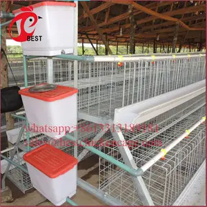 Entièrement Automatisé couche cages buveurs de poulet cage à vendre avec de haute qualité