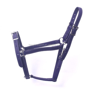 PVC fantaisie coloré cheval licols pour un cheval - Product Image 1