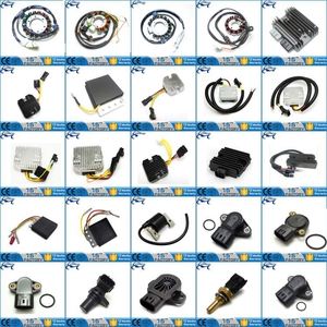 Venta caliente de piezas de atv <span class=keywords><strong>accesorios</strong></span> ATV del estator <span class=keywords><strong>para</strong></span> <span class=keywords><strong>YAMAHA</strong></span> YFZ350 <span class=keywords><strong>RAPTOR</strong></span> <span class=keywords><strong>350</strong></span> / SE / SE2 2004-2007 - Product Image 4