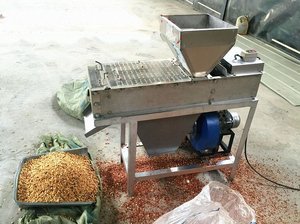 젖은 방법 유형 Groundnuts 콩 아몬드 넓은 콩 땅콩 붉은 피부 리무버 필러 필링 기계 구운 - Product Image 6