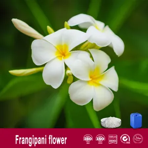 Frangipani flower Fragrance for Food and Daily Chemical