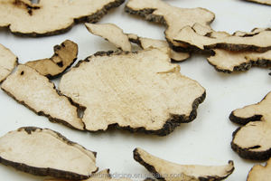 Coupes séchées naturelles sauvages Grifola <span class=keywords><strong>umbellata</strong></span> Pilat bien séchées Grifola <span class=keywords><strong>umbellata</strong></span> à vendre - Product Image 3