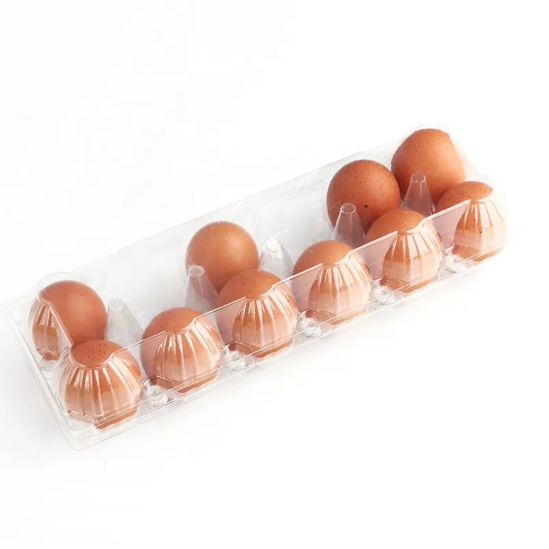 Hochwertige 12 Packungen Einweg-Eier ablage aus klarem Kunststoff PET-Verpackungs schale für Eier