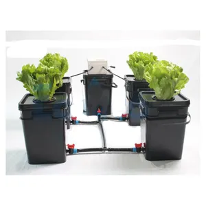 Dwc sistema hidropônico kit cultivo para venda