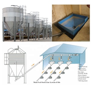 Zoai — ferme de volaille à poulet et 1,5 kg, équipement moderne pour élevage de volaille, broyeur et couche - Product Image 3